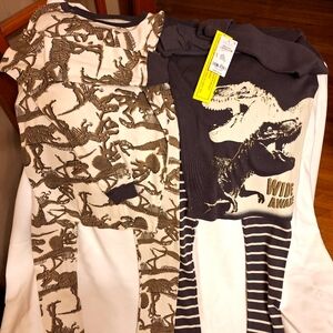 Carter’s Boys Dinosaur Pajamas Size 14